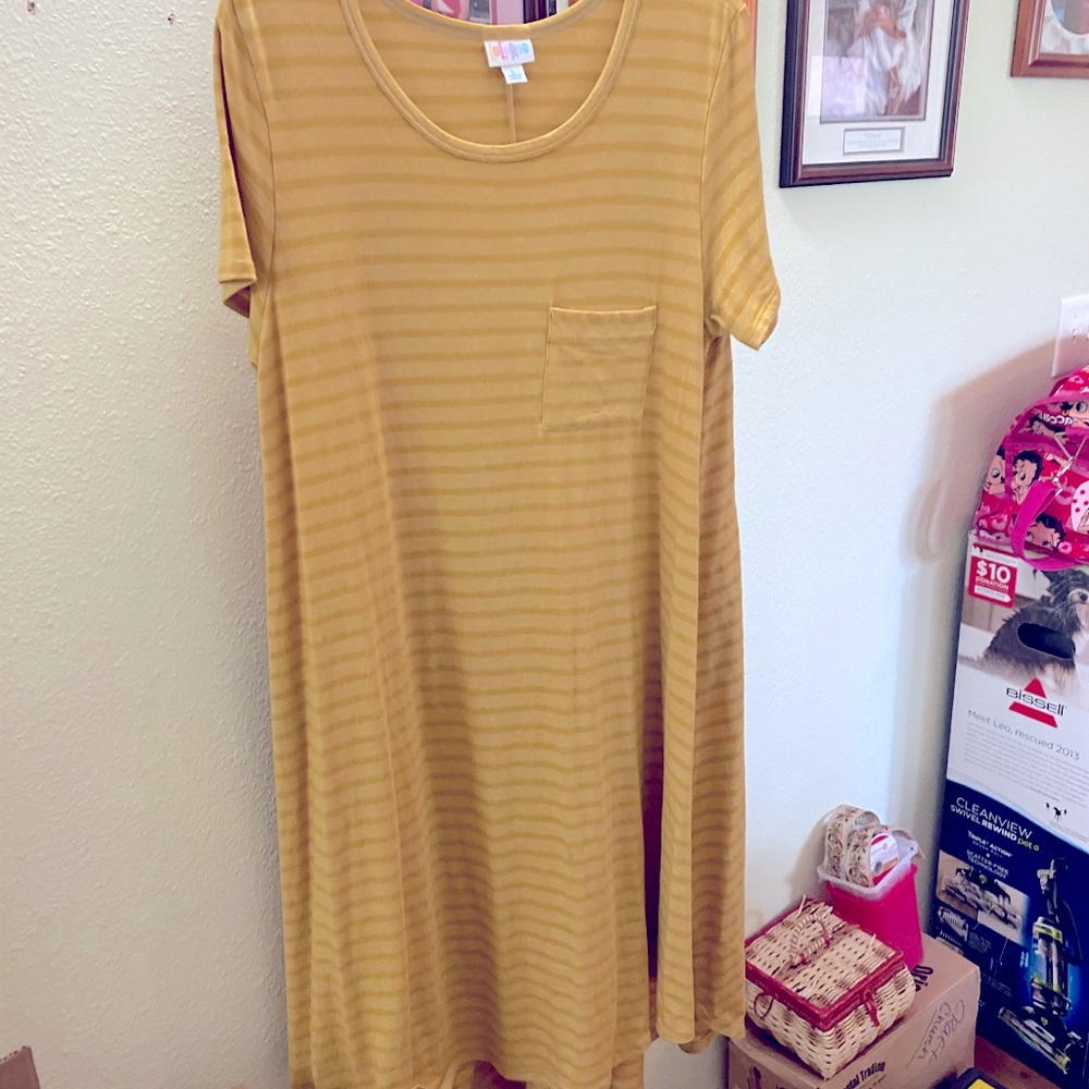 LuLaRoe Carly mustard stripe
